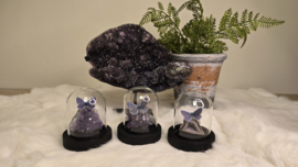 Set Fantasy "Amethist & Amandus"