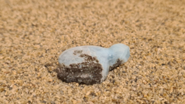 Larimar Schildpadje Medium No.3