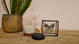 Himalaya Zoutlamp Ruw Wit (1-2kg)