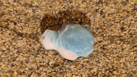 Larimar Schildpadje Small No.1