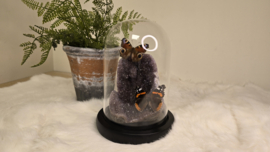 Set Fantasy "Galaxy Amethist & Dutch Duo"