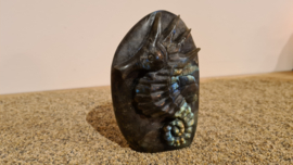 Labradoriet Zeepaardje Sculpture Small