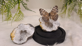 Set Fantasy "Marokkaanse Geode & Feronia"