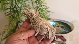 Smudge stick Witte Salie Fakkel