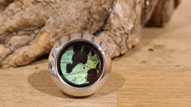 Ring Memory Locket Silver- Urania Seagreen