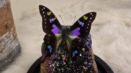 Set Fantasy "Titanium Aura & Weiskei"