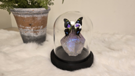 Set Fantasy "Angel Aura Amethist & Weiskei"