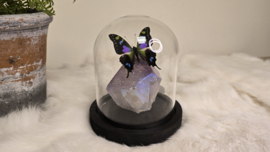 Set Fantasy "Angel Aura Amethist & Weiskei"
