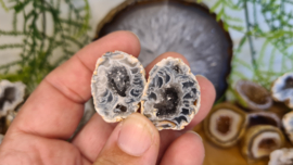 Agaat Geode mini paartje