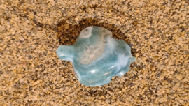 Larimar Schildpadjes Large No.1