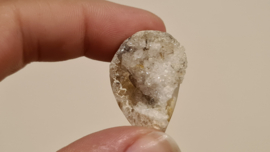 Fossiele Quartz Schelp Medium No. 7