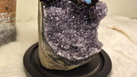 Set Fantasy "Galaxy Amethist & Peleides"