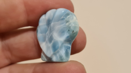 Larimar Schelpje No.8