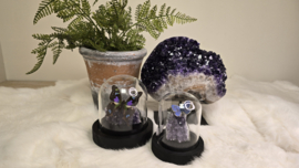 Set Fantasy "Amethist & Weiskei"