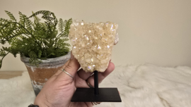 Angel Aura Citrien op standaard No. 1