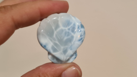 Larimar Schelpje No.12