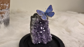 Set Fantasy "Amethist & Dorylas"