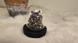 Set Fantasy "Titanium Aura & Argus"