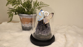 Set Fantasy "Galaxy Amethist & Sulkowskyi"