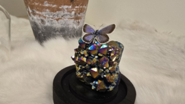 Set Fantasy "Titanium Aura & Argus"
