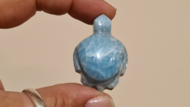 Larimar Schildpadje Medium No.4