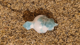 Larimar Schildpadje Small No.2