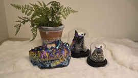 Set Fantasy "Titanium Aura & Argus"