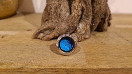 Ring Memory Locket Silver- Morpho Blue