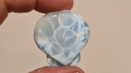 Larimar Schelpje No.12