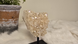 Angel Aura Citrien op standaard No. 1