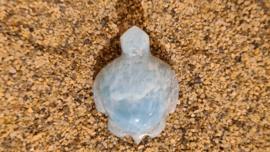 Larimar Schildpadje Medium No.4