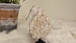 Angel Aura Citrien op standaard No. 5