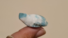 Larimar Schildpadje Small No.2