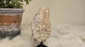 Angel Aura Citrien op standaard No. 4