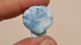Larimar Schelpje No.5