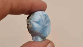 Larimar Schelpje No.5