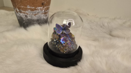 Set Fantasy "Titanium Aura & Thersites"