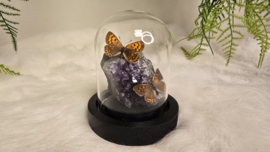 Set Fantasy "Amethist & Lycaena's "