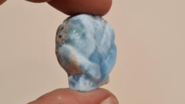 Larimar Schelpje No.10