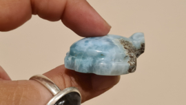 Larimar Schildpadjes Large No.2