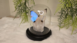 Set Fantasy "Angel Aura Rozenkwarts & Sulkowkyi"