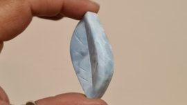 Larimar Schaaltje Leaf Mini