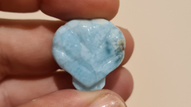 Larimar Schelpje No.4