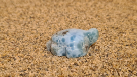 Larimar Schildpadje Medium No.2