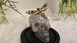 Set Fantasy "Bergkristal Skull & Oleander"