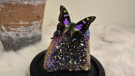 Set Fantasy "Titanium Aura & Weiskei"