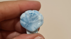 Larimar Schelpje No.5