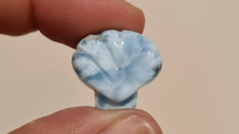 Larimar Schelpje No.1