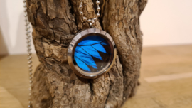 Ketting Memory Locket Twist Silver - Papilio Blue