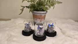 Set Fantasy "Angel Aura Amethist & Daphnis"